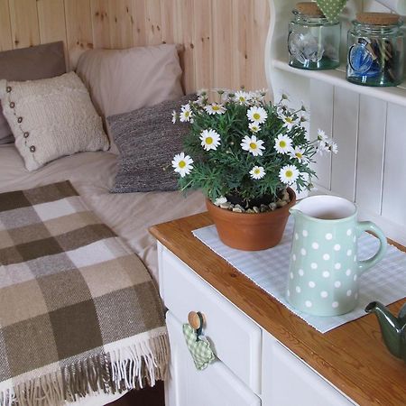 Marshwood Farm B&B And Shepherds Hut Dinton  Esterno foto