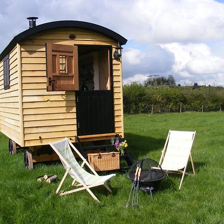 Marshwood Farm B&B And Shepherds Hut Dinton  Esterno foto