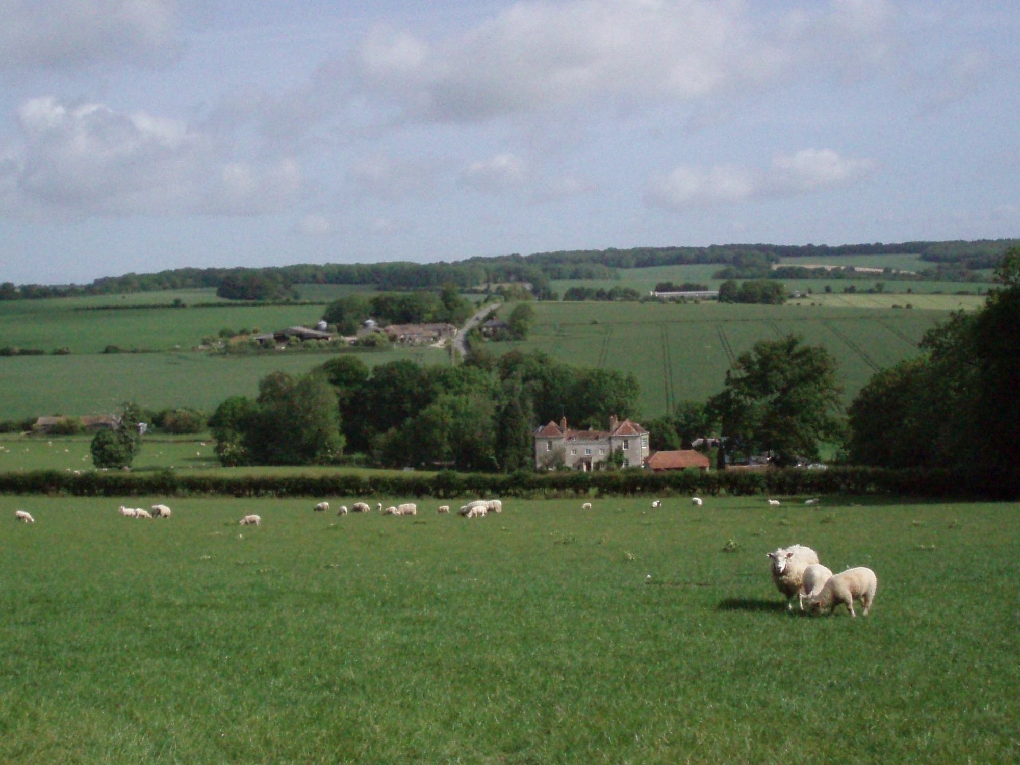 Marshwood Farm B&B And Shepherds Hut Dinton  Esterno foto